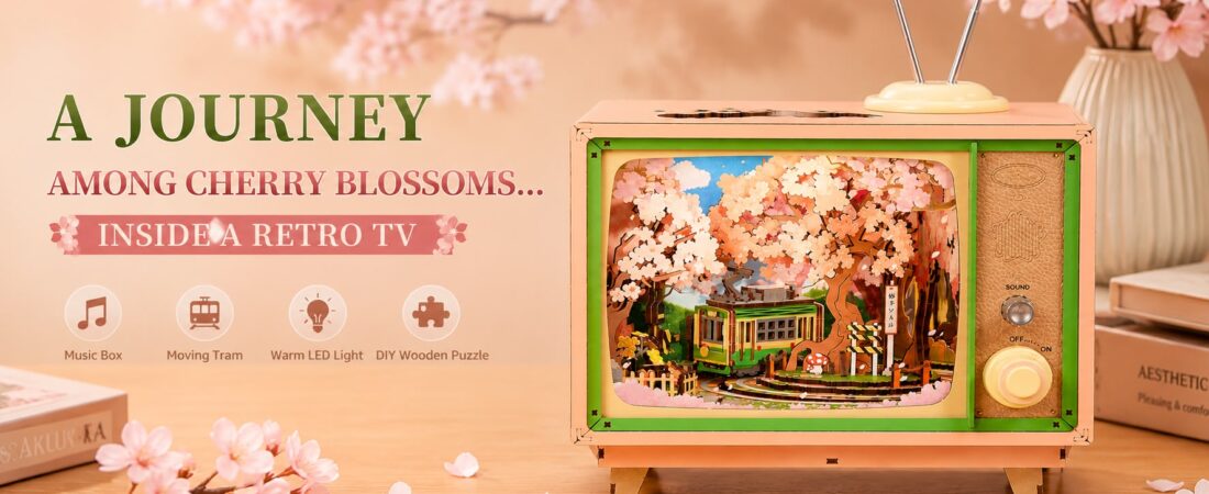 🌸 A Tiny Journey Through Cherry Blossoms